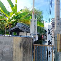 サルスベリ,マンリョウ,ヤブラン,芭蕉,柳の画像