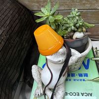 花のある暮らし,緑のある暮らし,平和を願う,GS皆様ありがとう,日曜日はバラよ❤️の画像