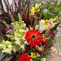 花のある暮らし,秋の気配,緑のある暮らし,花材,アメリカ在住の画像