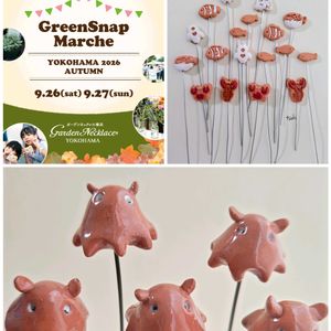 イベント出店,テラコッタ鉢,tsuki＆miiwa succulent,GreenSnapMarcheYOKOHAMA2026 秋の画像