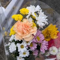 カーネーション,キク,花束,お彼岸の画像