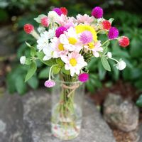 キク,クリスマスローズ,センニチコウ,花のある暮らし,幸せな時間の画像