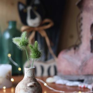 ネコジャラシ,エノコログサ,花のある暮らし,緑のある暮らし,HTCの画像