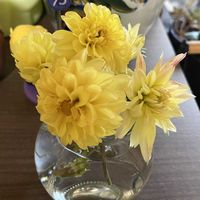 ダリア,平和を願う☆,いつまでも友達でいよう♡の画像