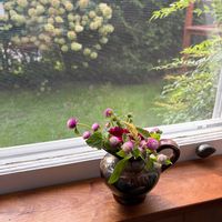 小花,花のある暮らし,秋の気配,緑のある暮らし,アメリカ在住の画像