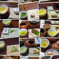 お茶の葉,ハーブ,思い出,愛知県,豊田市の画像