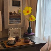 ハイビスカス（仏桑華）,花言葉,花のある暮らし,誕生花,GS映えの画像