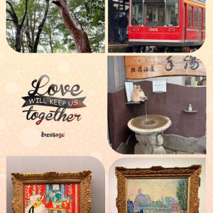 ヒメシャラ,箱根登山鉄道,ポーラ美術館,強羅駅,旅先の乗り物の画像