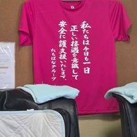 ポインセチアの画像