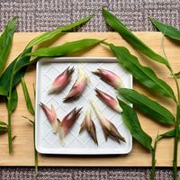 みょうが,ミョウガ,秋ミョウガ,ミョウガ﹙茗荷﹚,ジャパニーズ ジンジャーの画像