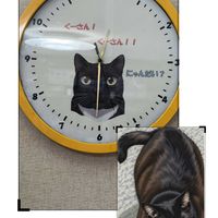 ナシ,アベリア,チーム愛知,ニャンニャン祭りの画像