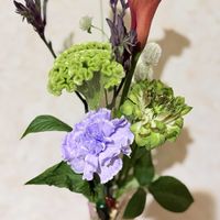 切り花,ガーデニング,植物のある暮らし,お花好き,お花のある暮らしの画像