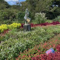 ニチニチソウ,ニチニチソウ,麦藁帽子と少女。,京都府立植物園,自然大好きの画像