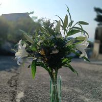キク,キク,ユリ,ユリ,花のある暮らしの画像