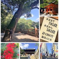 コキア,彼岸花  曼珠沙華,父母ヶ浜,いつもありがとう♡,シルバーウィークの画像