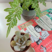 プテリス,エケベリア,プテリス  エバージェミエンシス,多肉植物,観葉植物の画像