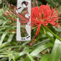 ヒガンバナ,ホトトギス,タイワンホトトギス,彼岸花  曼珠沙華,大人の着せ替え人形の画像