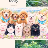 タマスダレ,ベンケイソウ オータムジョイ,花のある暮らし,花が好き,GSミニモニ。の画像
