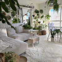 観葉植物,リビング,ボタニカルライフ,グリーンのある暮らし,インテリアグリーンの画像