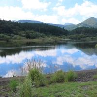 ススキ,ヨウシュヤマゴボウ,ひっそりと,水鏡,湯布院山下湖の画像