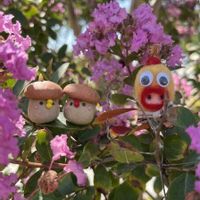 サルスベリ,桜の木,ぼんぼんちゃんのﾁｸﾁｸ,ちょこんとﾋﾟｰﾀﾝの画像