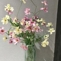 コスモスの造花,今日の夕飯は…♪,オムライス！,造花,コスモス♡の画像