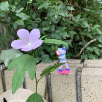 ヒガンバナ,ヒガンバナ,ブロッコリー,ブロッコリー,かぼちゃの画像