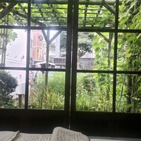 ヘチマ,子規庵,お出かけ先の画像