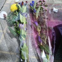 カーネーション,ススキ,リンドウ,ワレモコウの画像