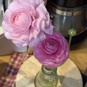 部屋,リビング・ダイニングの画像