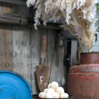 パンパスグラス,レモン,秋明菊,彼岸花　ひがんばな,グリーンのある暮らしの画像