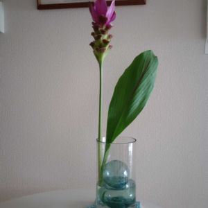 観葉植物,切り花,一輪挿し,花瓶,花束の画像