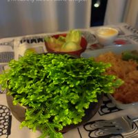 セラギネラ,セラギネラ オーロラ,観葉植物,シダ植物,食卓の画像