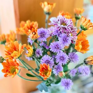 アスター,スプレーマム,スプレーマム,花束,秋の花の画像