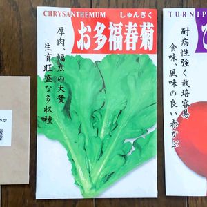 カーボロネロ,おたふく春菊,飛騨紅かぶ,プランター野菜,種まきの画像