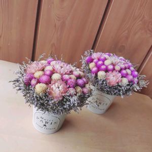 センニチコウ,ヘリクリサム,ハイブリッド スターチス,ヘリクリサム（貝殻草、麦わら菊）,ドライフラワーの画像