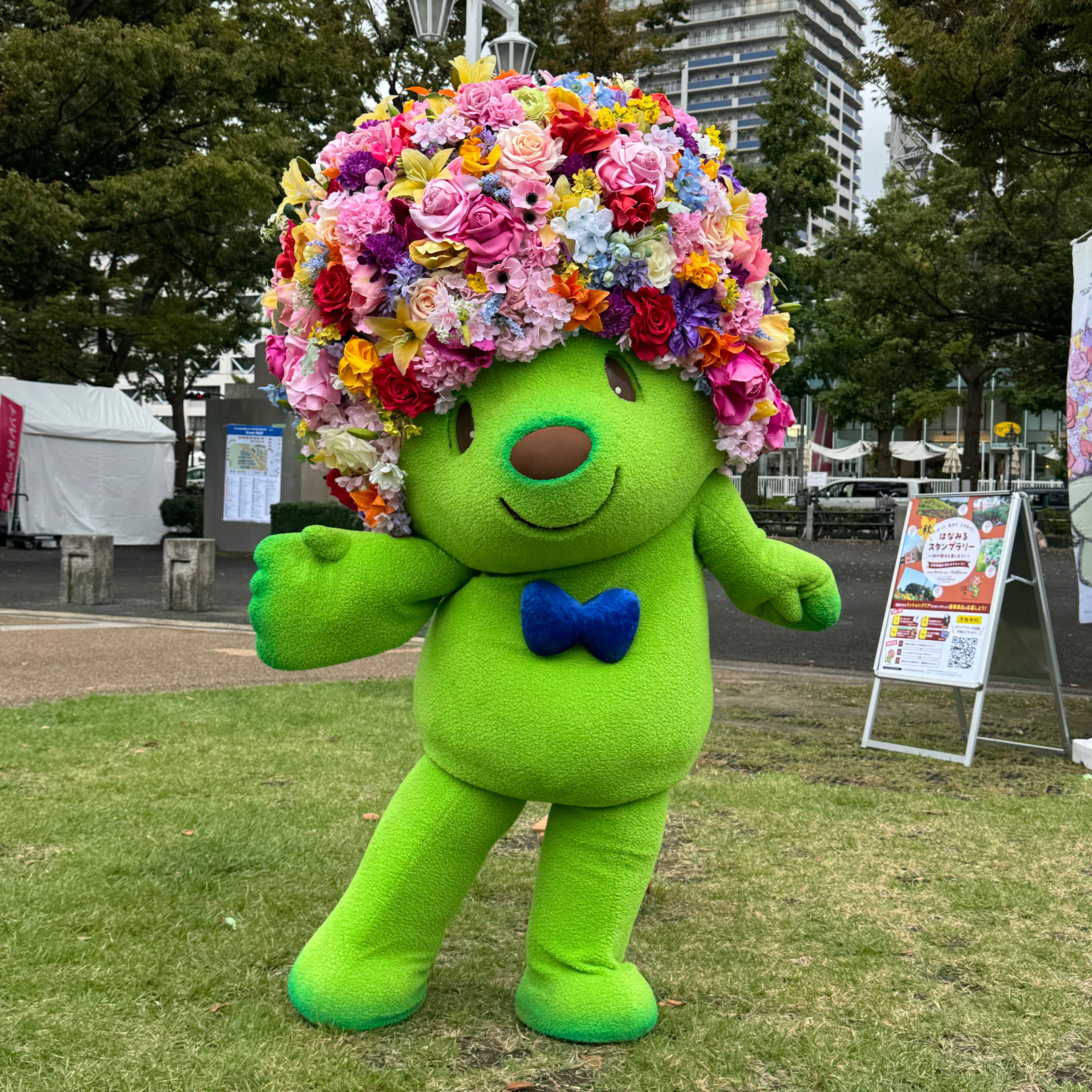 ビカクシダの森