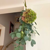 紫陽花,ユーカリ ポポラス,ドライフラワーの画像