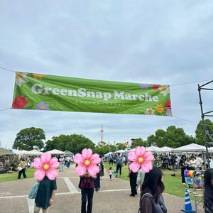 多肉植物の寄植え,沁心,多肉棚,GreenSnap Marche,グリーンスナップマルシェの画像