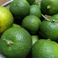 シュウカイドウ,すだち,いただきもの,収穫の秋,休日の画像