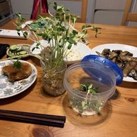 豆苗,つゆモンの種の画像