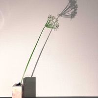 一輪挿し,花瓶,山野草,花のある暮らし,花のある生活の画像