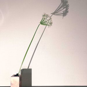 一輪挿し,花瓶,山野草,花のある暮らし,花のある生活の画像