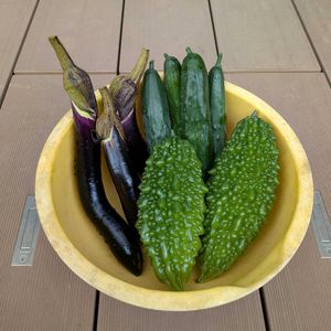 キュウリ,ゴーヤ,ナス,家庭菜園の画像