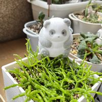 リプサリス 青柳,セダム畑❣️,パンダの日,つぶつぶの日,ハニワの日の画像