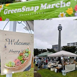 イベント出店,テラコッタ鉢,#多肉植物,月の手しごと,テラコッタ陶芸の画像