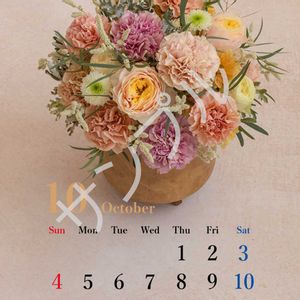 カーネーション,スプレーキク(スプレーマム),バラ、薔薇、ばら,切り花,キク科の画像