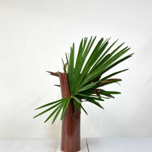 ドラセナ,棕櫚（しゅろ）,いけばな,草月流の画像