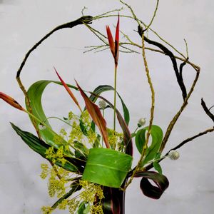 オミナエシ,センニチコウ,ドラセナ,ヘリコニア,石化柳の画像