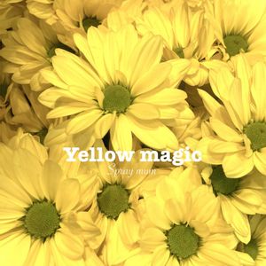 スプレーマム,イエローマジック,花束,ビタミンカラー,黄色い花の画像
